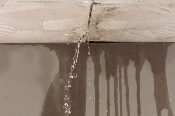 Professional Burst Pipe Cleanup technician working in Hollister, MO